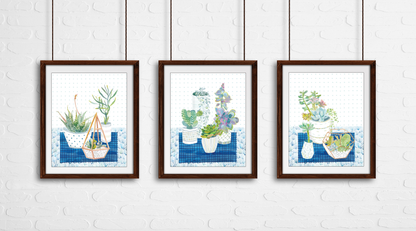 Succulents Art Prints