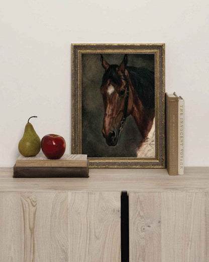 Horse Portrait