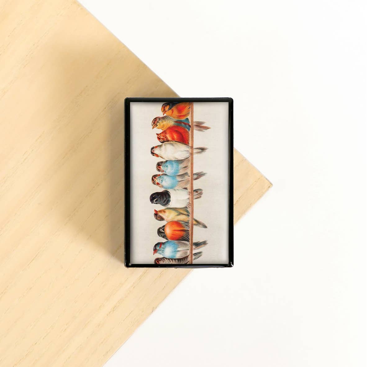 Birds in a line Wire Sky Nature Fly Feathers Slide Box