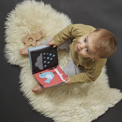 Organic Soft Book & Teether Set