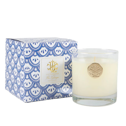 Blue Hydrangea 8 oz Blue and White Designer Box
