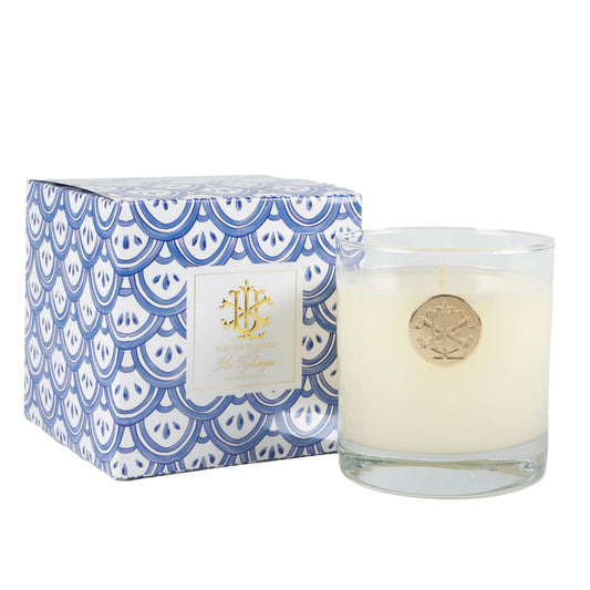 Blue Hydrangea 8 oz Blue and White Designer Box