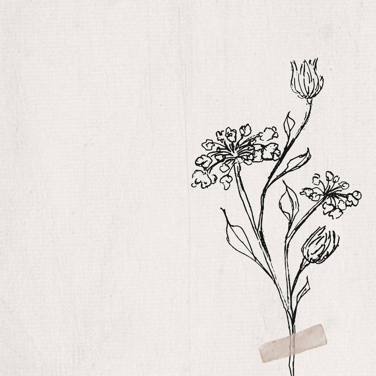 Arraigado en la Verdad - Que todo lo que hagas sea arte. Lámina cristiana para regalo y decoración.