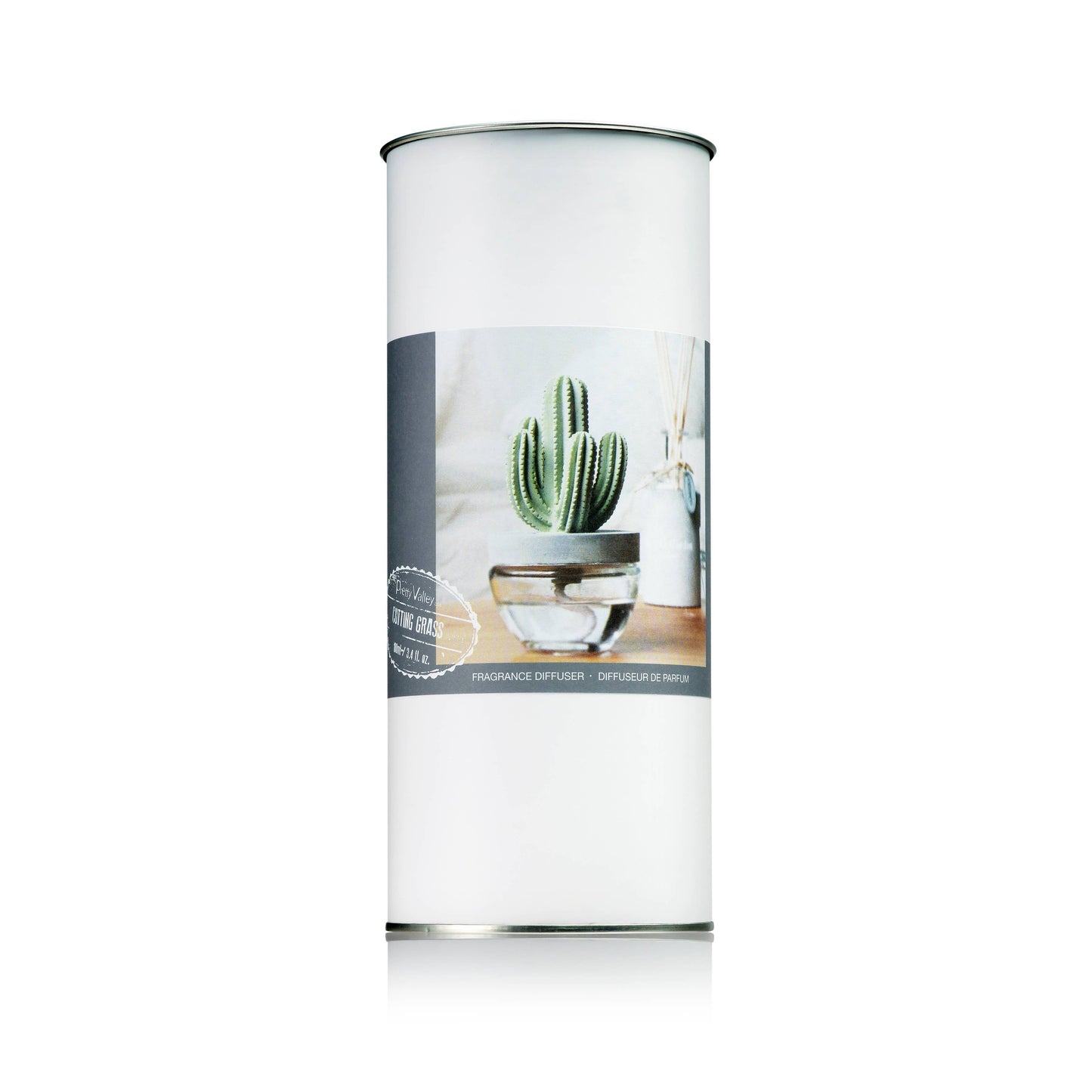 Saguaro Cactus ceramic diffuser gift set -100ml