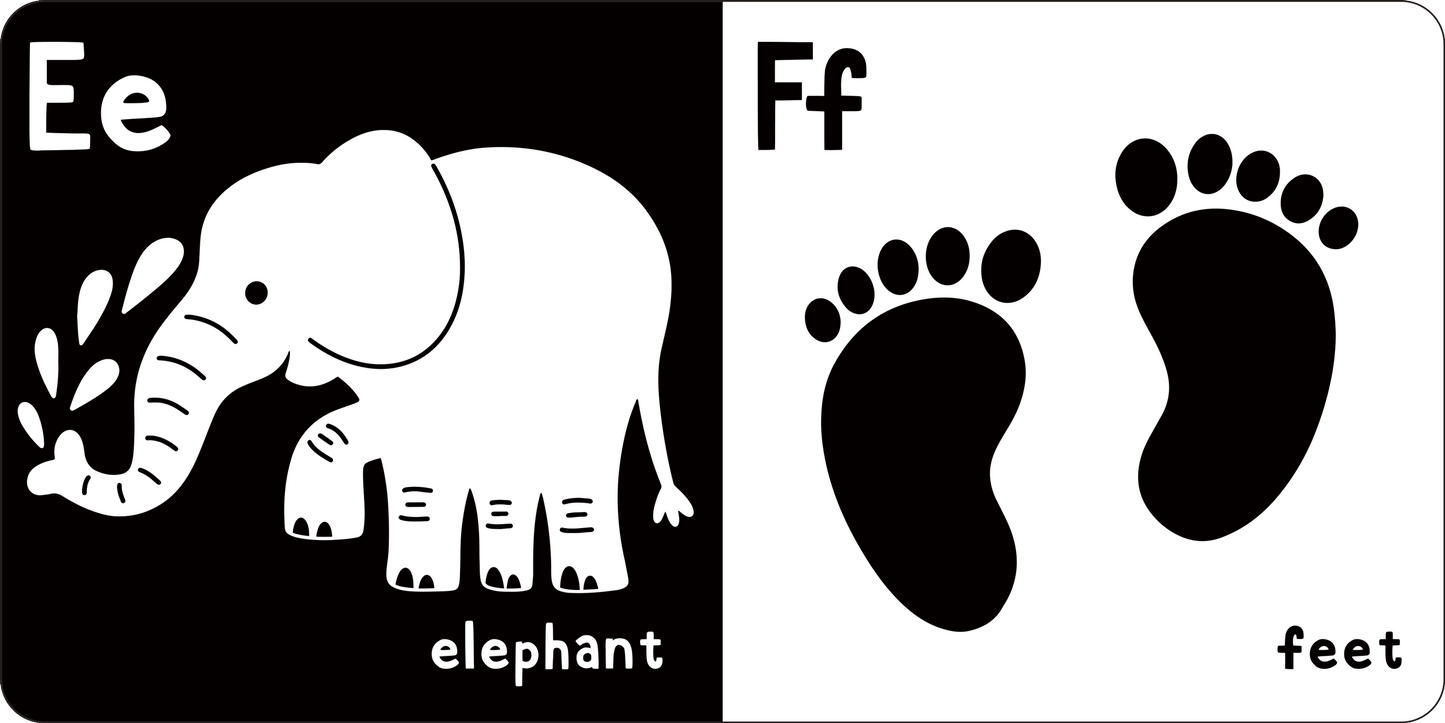 What Does Baby See? ABCs