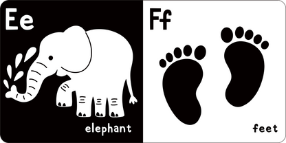 What Does Baby See? ABCs