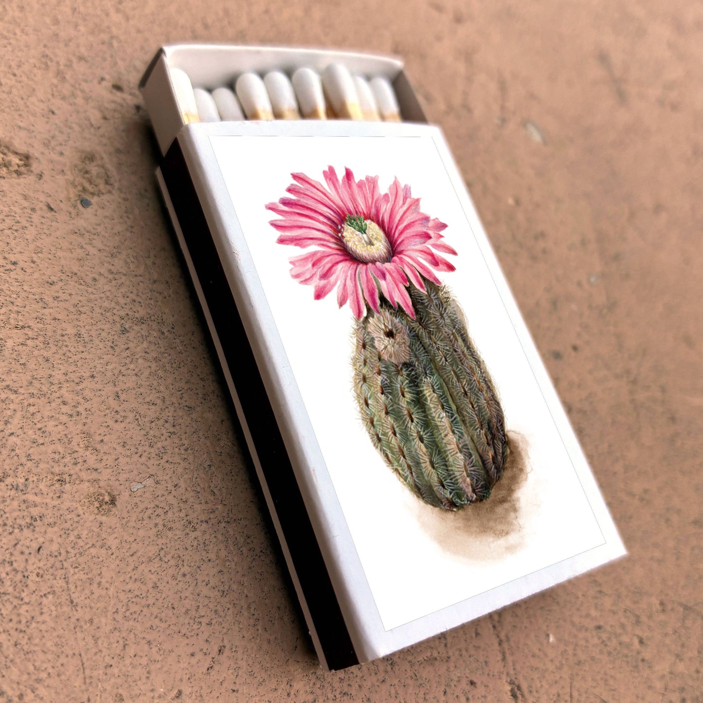 Matches • Turkeyhead Cactus •