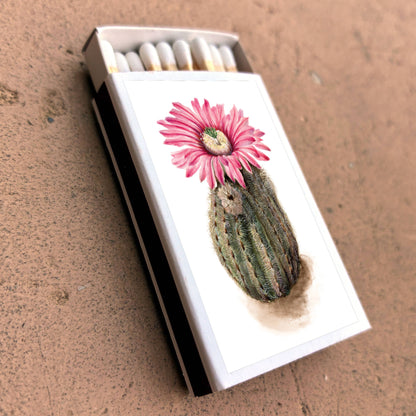 Matches • Turkeyhead Cactus •