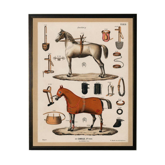 Horse Bookplate artwork