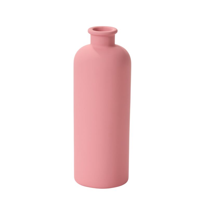 Gladiolus Budvase-Pink-8"