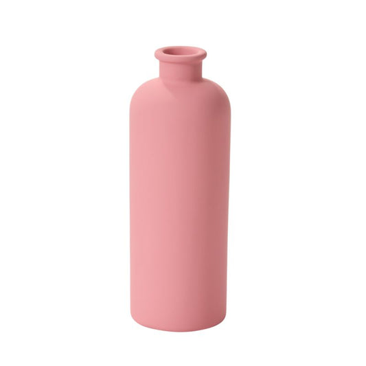 Gladiolus Budvase-Pink-8"