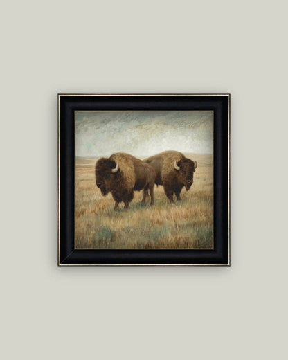 Bison Duo