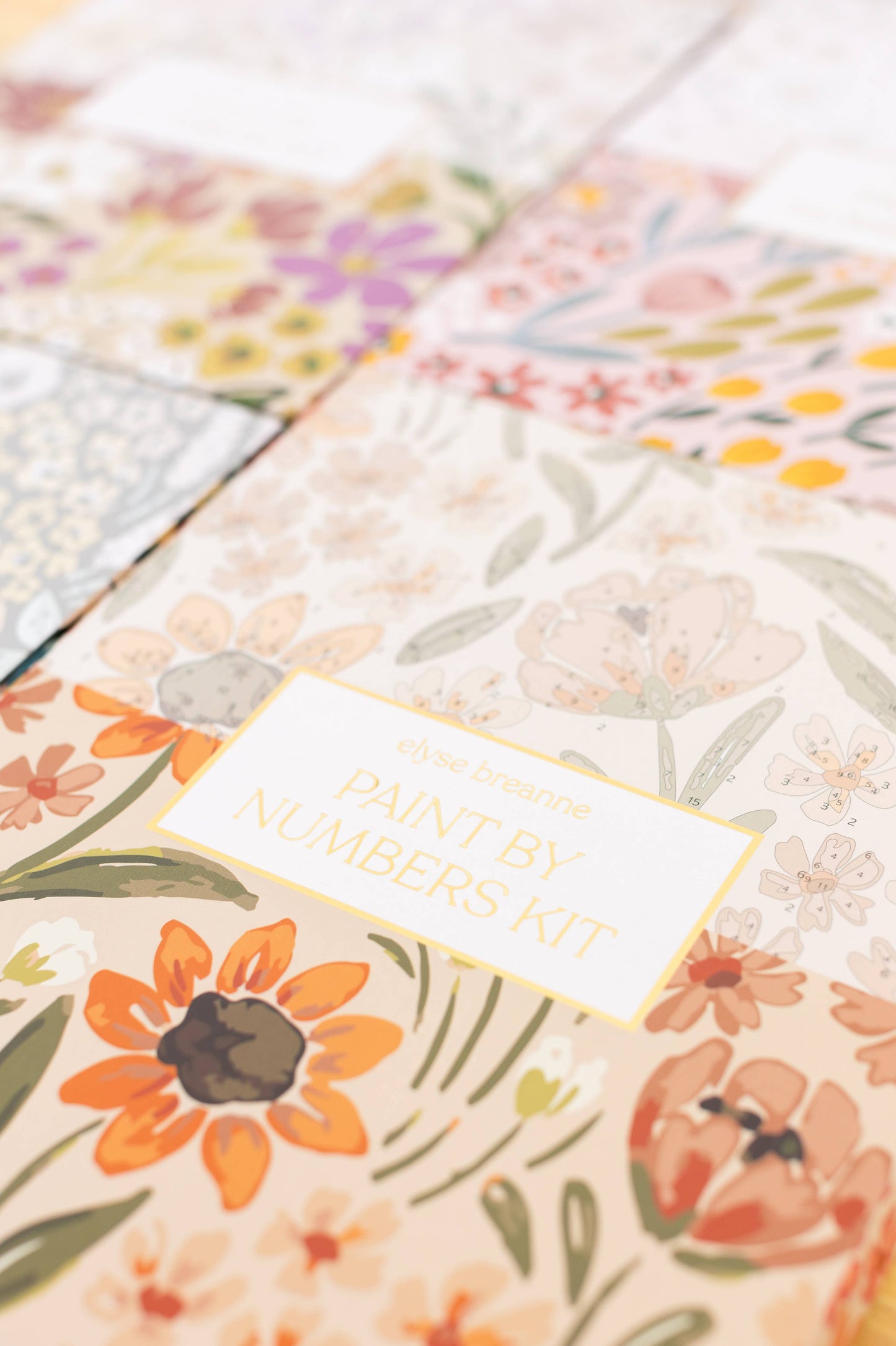 Elyse Breanne Design - Sunny Poppies Paint By Number Kit