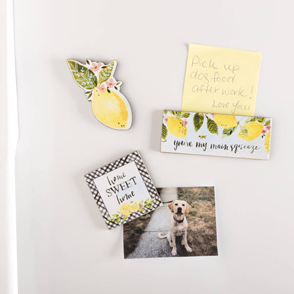 Main Squeeze Magnet Set