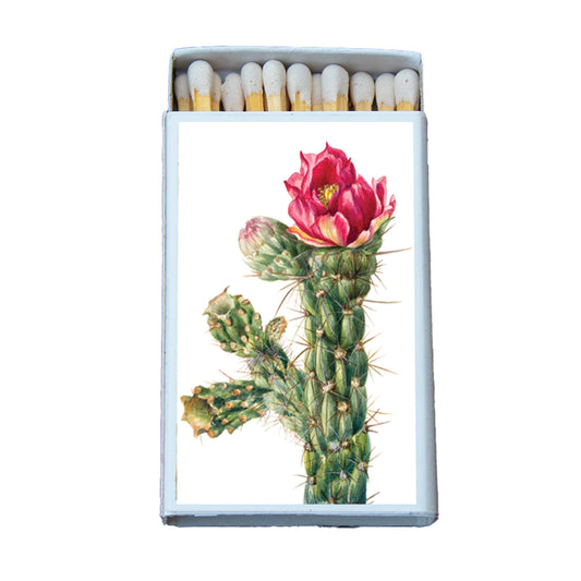 Matches • Walkingstick Cholla Cactus