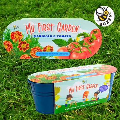 Mi primer alféizar de jardín: kit de cultivo de caléndula y tomate