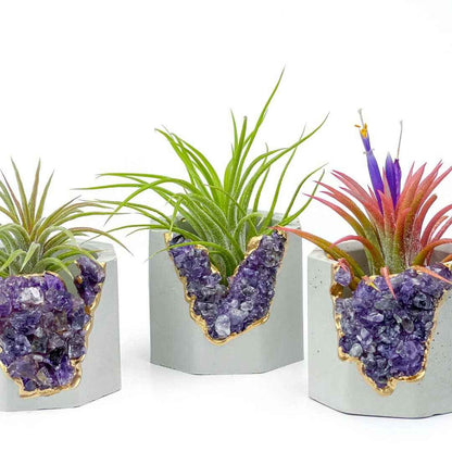 Amethyst Geode Planter, Concrete Planter, Crystal Pot