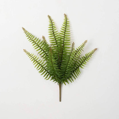 Fern Bush, 20"