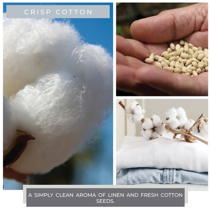 A Cheerful Giver - Melts - Crisp Cotton