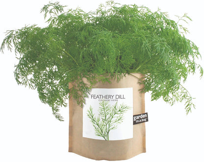 Garden in a Bag | Feathery Dill | Thoughtful Cook’s Gift
