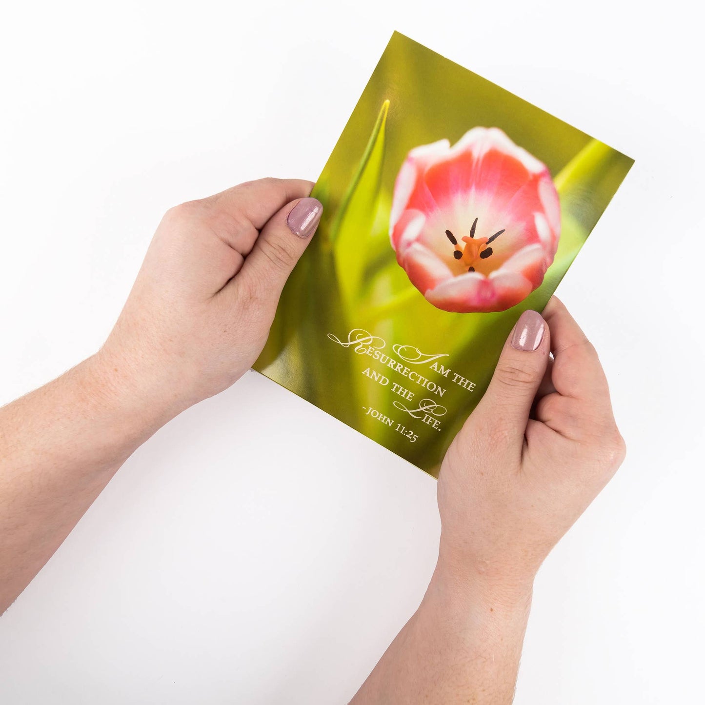 Divinity Boutique - Boxed Cards: Easter, Spring Flowers