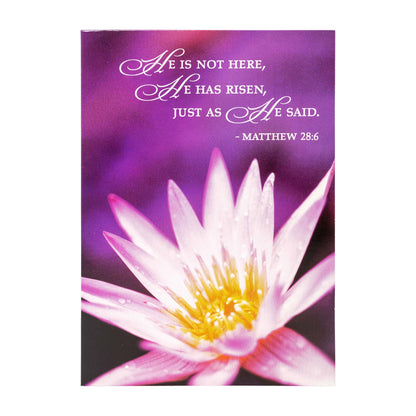 Divinity Boutique - Boxed Cards: Easter, Spring Flowers
