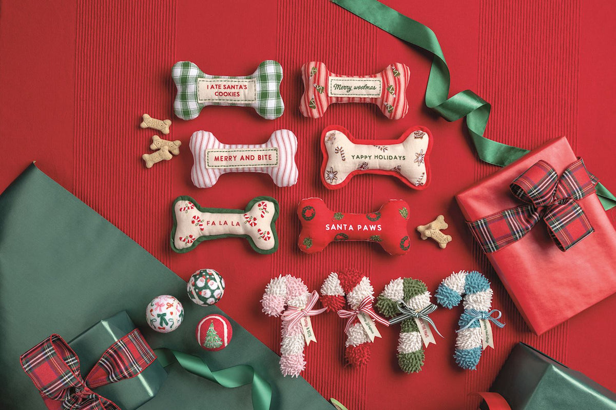 Candy Cane Plush Dog Toy, Four shaggy plush candy cane dog toys in red, pink, green and blue stripes, each tied with a ribbon and tag.