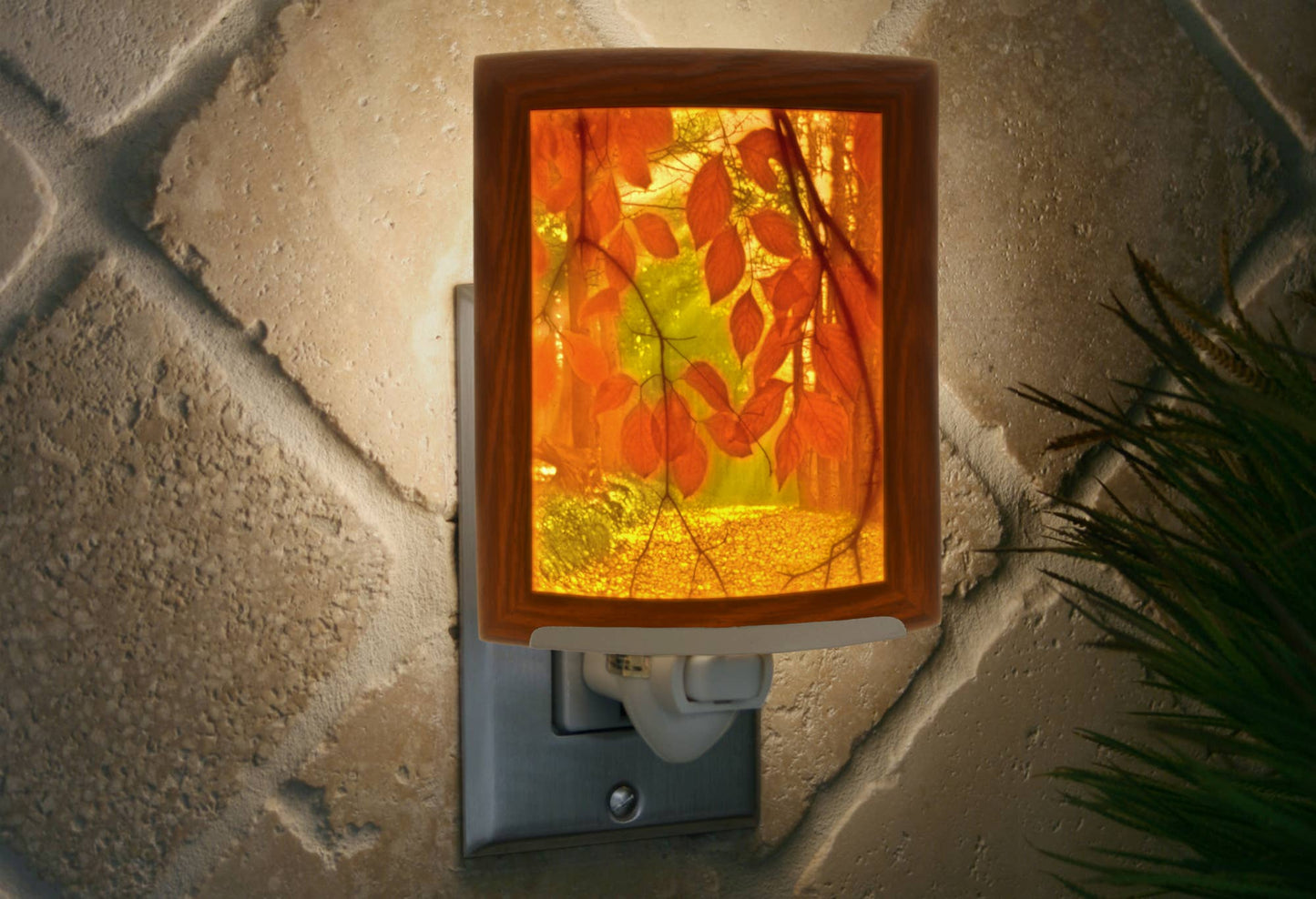 "Secret Path" Porcelain Lithophane Colored Night Light