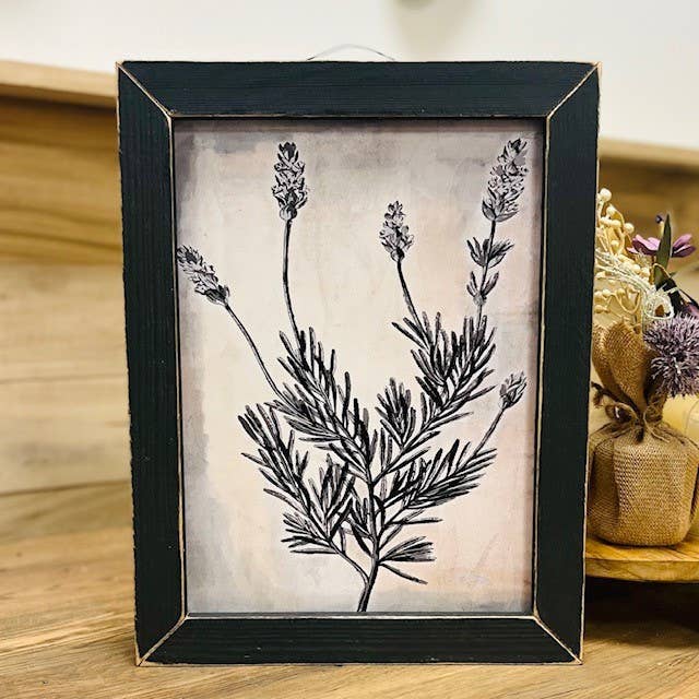 Spanish Lavender Illustration