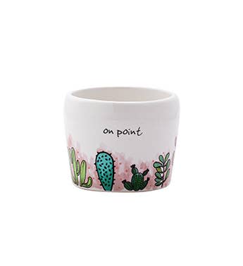 Planter, Cactus/Succulent