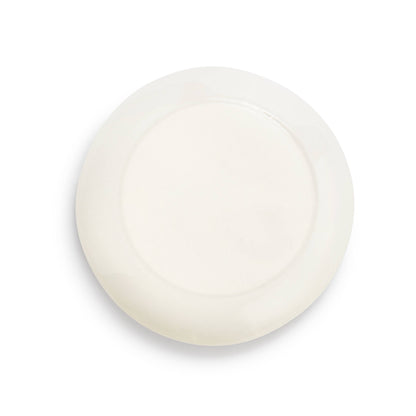 Cream Botanical Ceramic Incense Holder - 4.5in