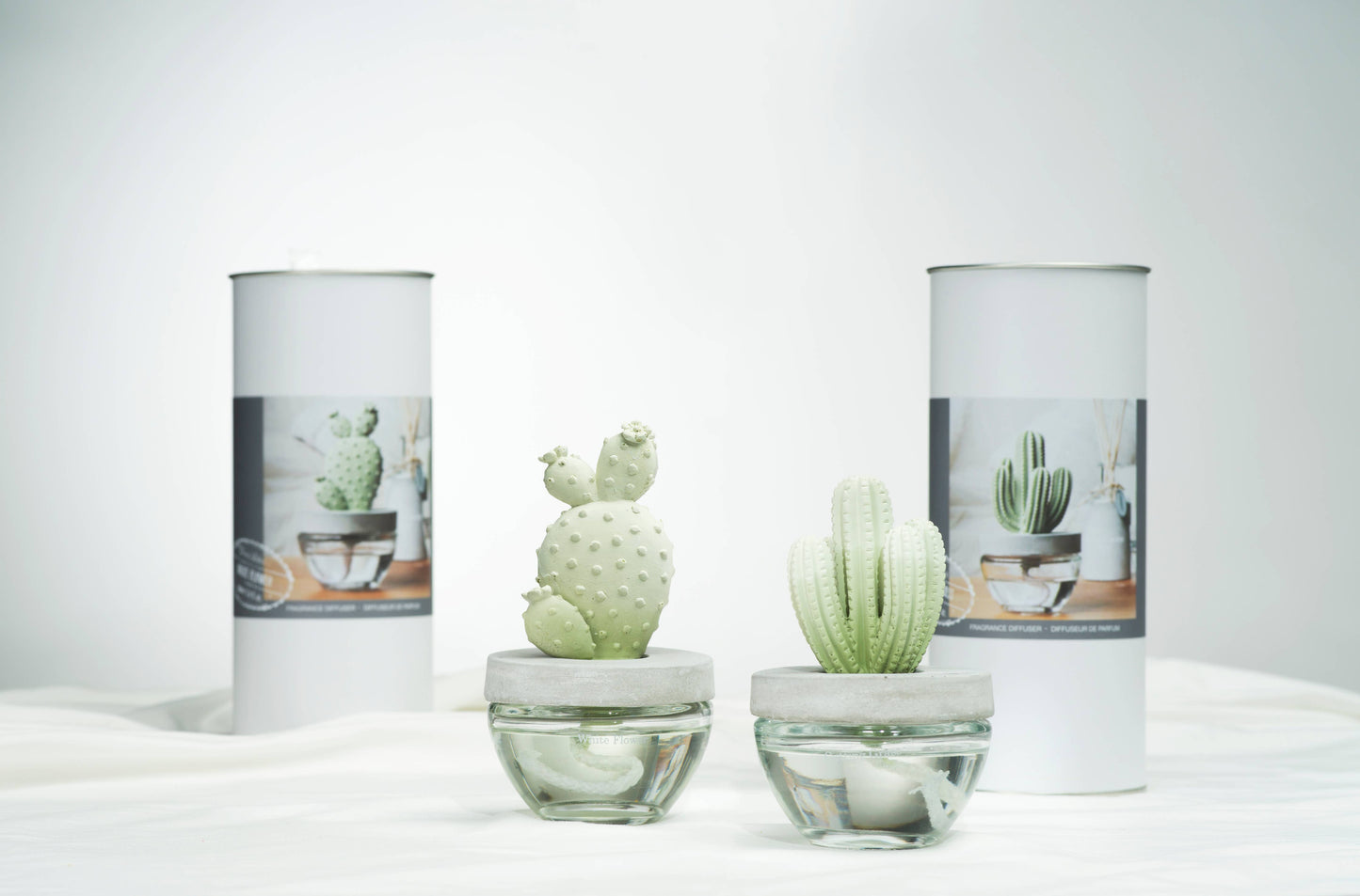 Saguaro Cactus ceramic diffuser gift set -100ml