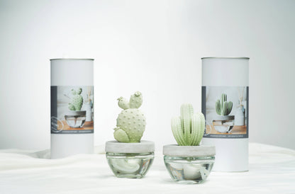 Saguaro Cactus ceramic diffuser gift set -100ml