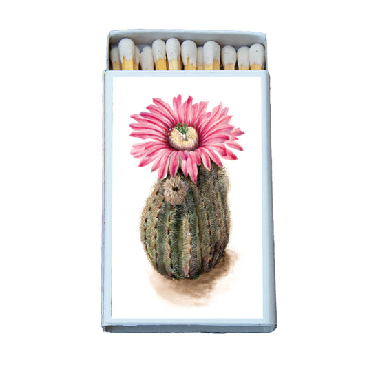 Matches • Turkeyhead Cactus •