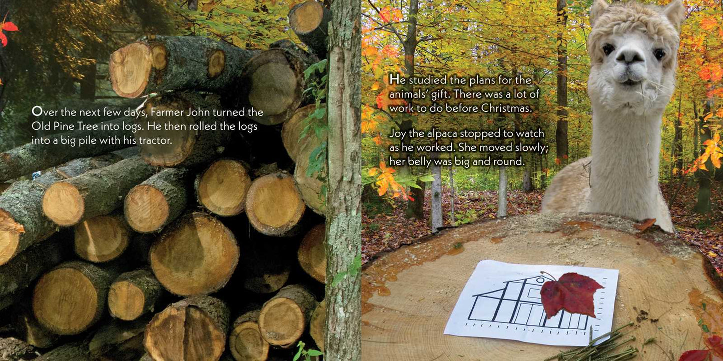 Christmas Barn by John Churchman