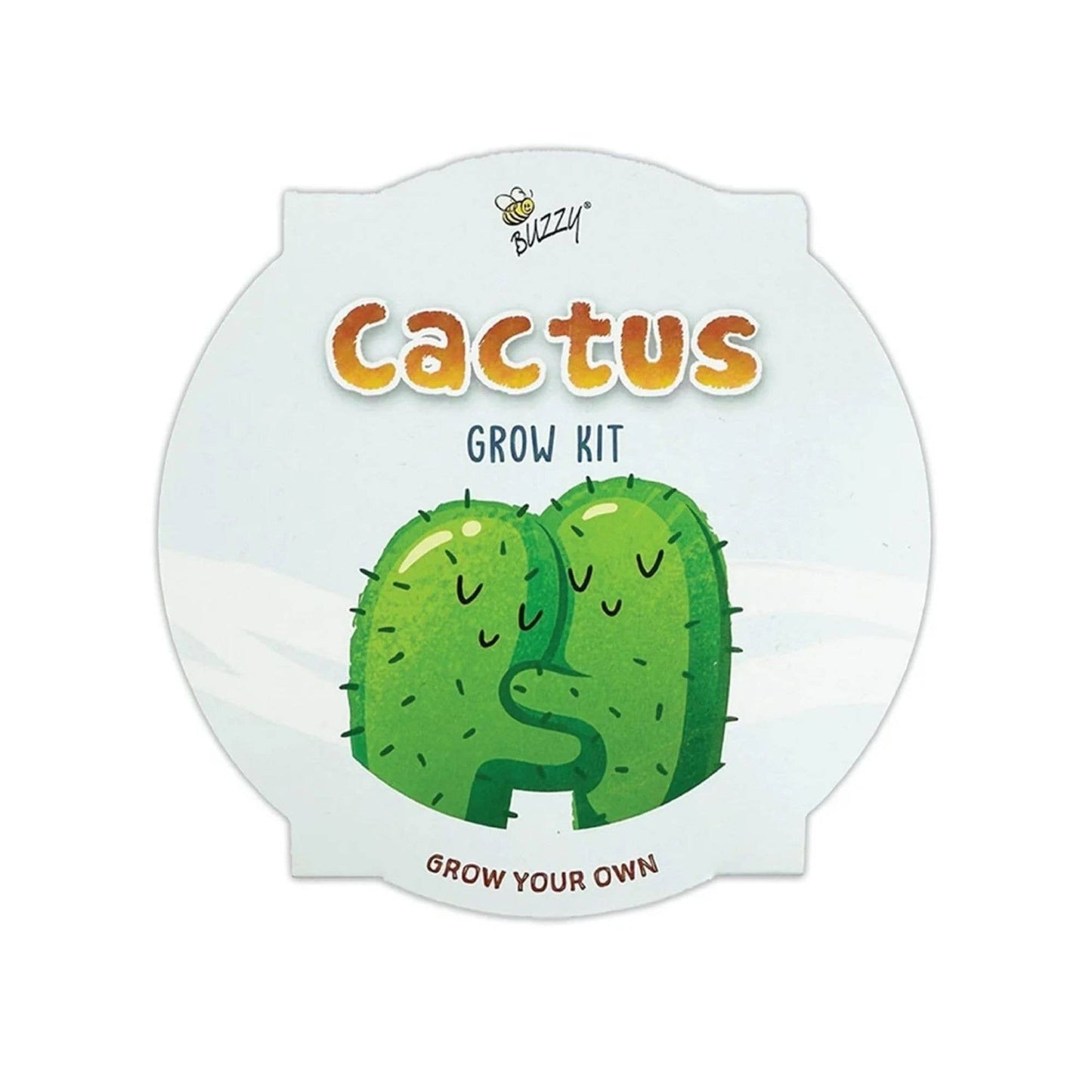 Kids Mini Painted Basin Cactus Grow Kit | Indoor Kit | Gift