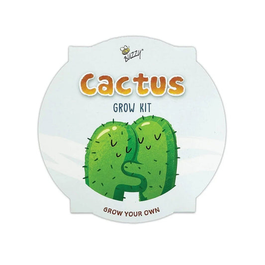 Kids Mini Painted Basin Cactus Grow Kit | Indoor Kit | Gift