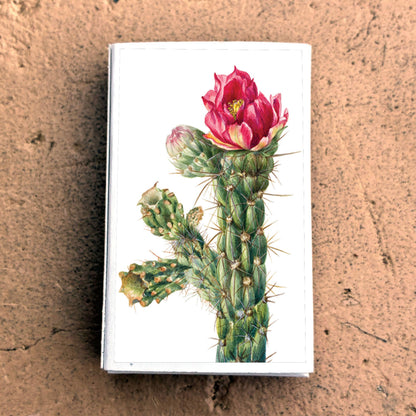 Matches • Walkingstick Cholla Cactus