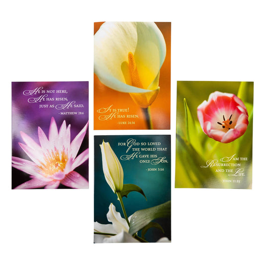 Divinity Boutique - Boxed Cards: Easter, Spring Flowers