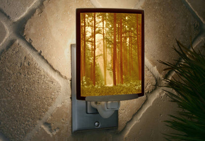 Woodland Sunbeams Porcelain Lithophane Colored Night Light