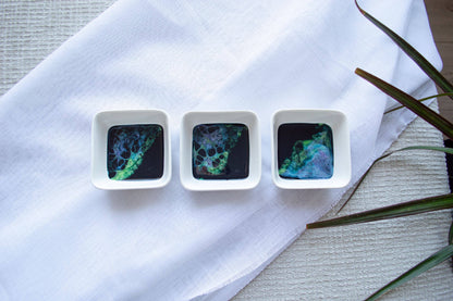 Northern Lights Collection