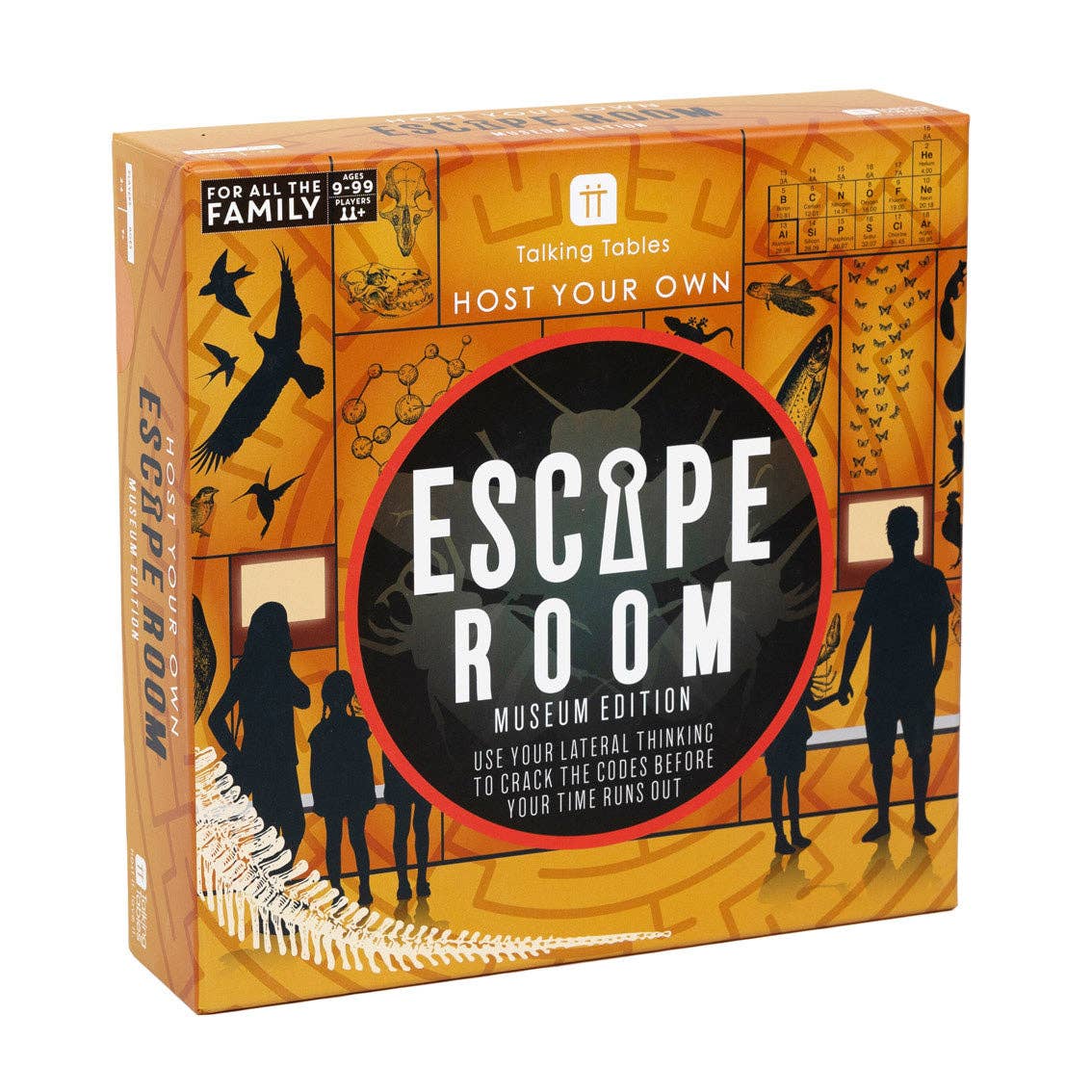 Family Escape Room Museum Edition