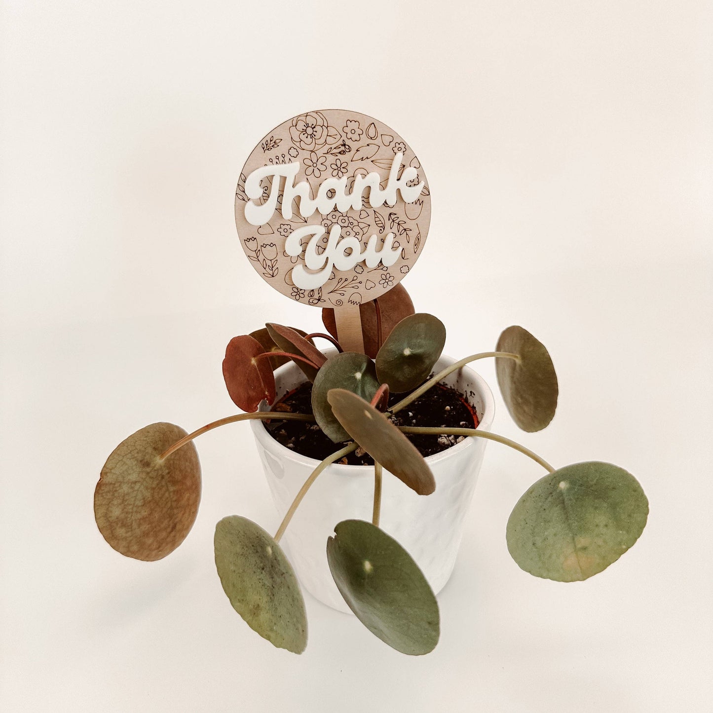 Gracias - Estaca de planta