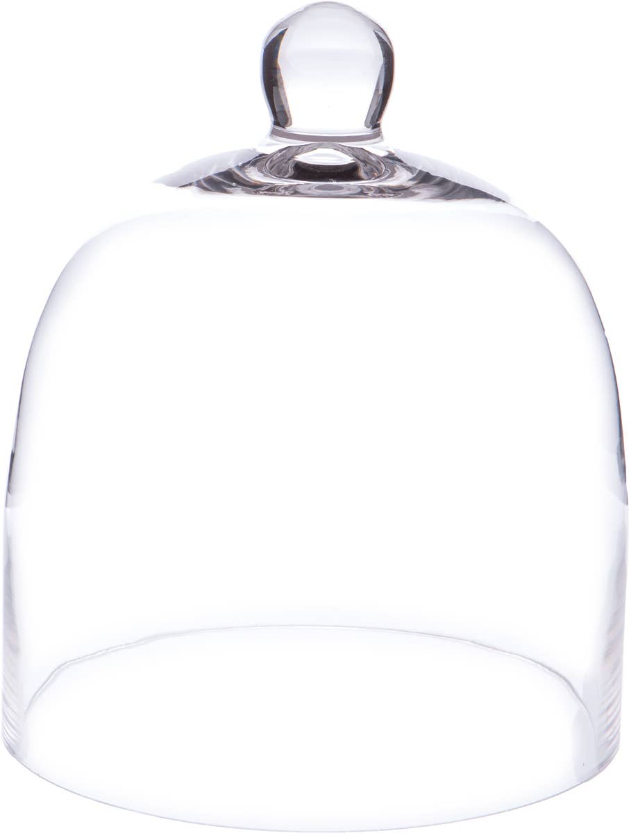 Bell Jar Glass Display Dome Cloche 7.875" x 9.5"