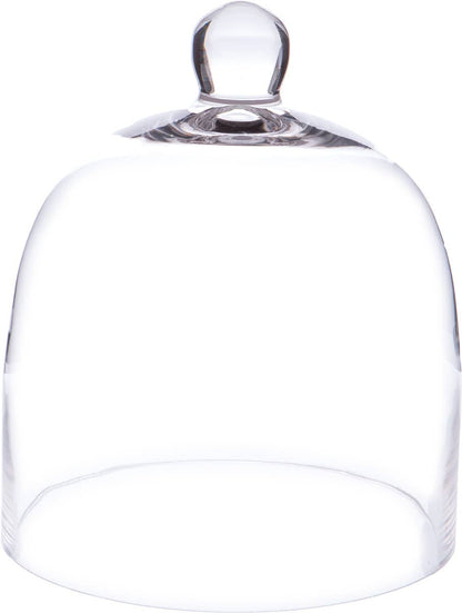 Bell Jar Glass Display Dome Cloche 7.875" x 9.5"