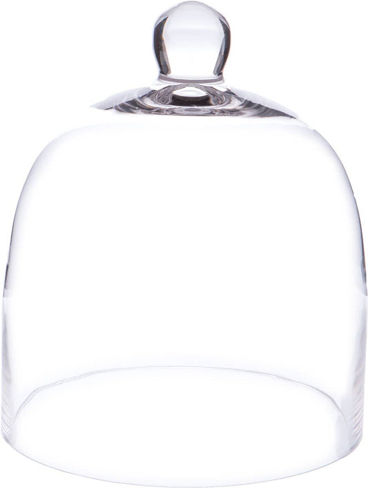 Bell Jar Glass Display Dome Cloche 7.875" x 9.5"