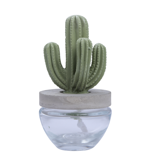 Cactus Ceramic DIFFUSER -Gift Set 2 PC