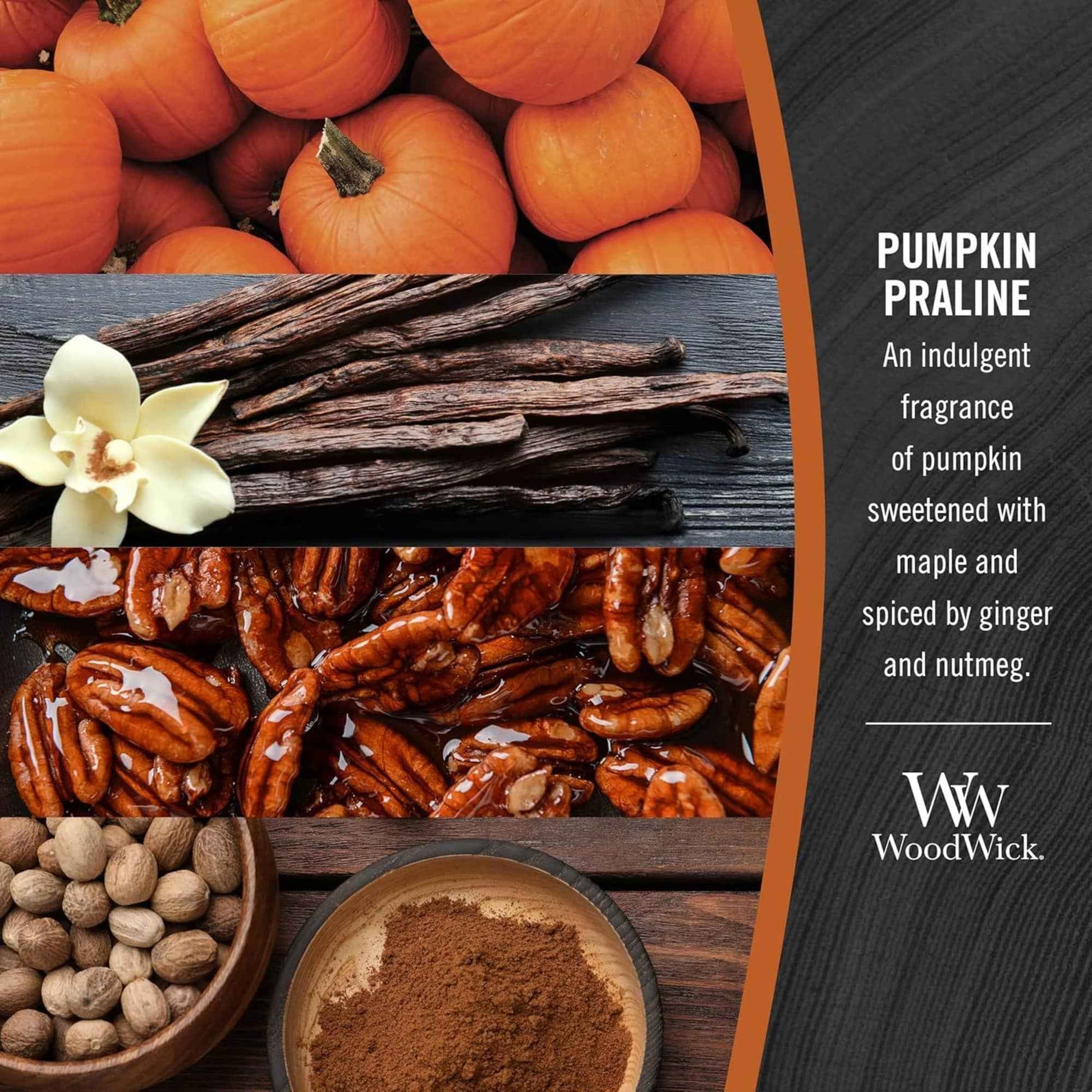 Pumpkin Praline Scented Ellipse Candle, 16 oz