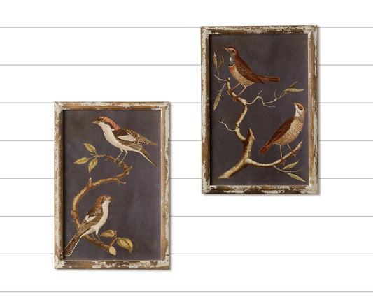 Framed Prints - Birds On Branches