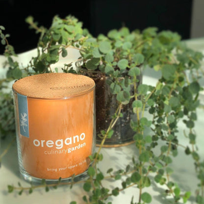 Essential Oregano Garden | Spring Herb Gift